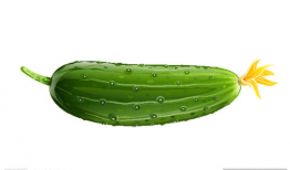 黄瓜动漫,青春校园的甜蜜旋律